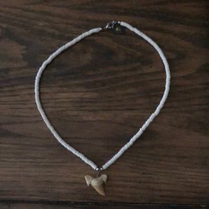 Shark Tooth Necklace